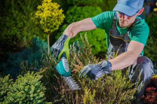 landscaping services Arbyrd